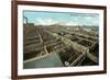 Union Stockyards, Wichita-null-Framed Art Print