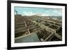 Union Stockyards, Wichita-null-Framed Art Print