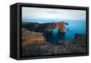 Canvas Black