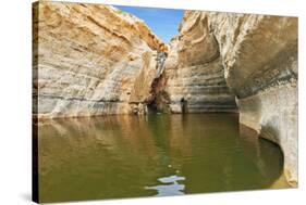 Unique Canyon in the Desert. Picturesque Canyon Ein-Avdat in the Negev Desert. Sandstone Canyon Wal-kavram-Stretched Canvas