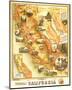 Unique Map of California 1885-E^ McD^ Johnstone-Mounted Art Print