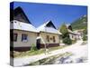 Unique Village Architecture of Vlkolinec Village, Velka Fatra Mountains, Slovakia-Richard Nebesky-Stretched Canvas