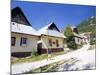 Unique Village Architecture of Vlkolinec Village, Velka Fatra Mountains, Slovakia-Richard Nebesky-Mounted Photographic Print