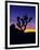 Unique Yucca Tree, Joshua Tree National Park, California, USA-Jerry Ginsberg-Framed Premium Photographic Print