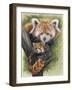 Unique-Barbara Keith-Framed Giclee Print