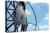 Unisphere at World's Fair Grounds NYC-null-Stretched Canvas