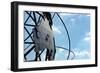 Unisphere at World's Fair Grounds NYC-null-Framed Photo