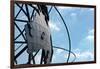 Unisphere at World's Fair Grounds NYC-null-Framed Photo