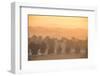 United Arab Emirates, Abu Dhabi, Al Ain, Remah Desert, Telal Resort Heritage Village-Jane Sweeney-Framed Photographic Print