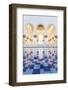 United Arab Emirates, Abu Dhabi. Sheikh Zayed Grand Mosque at Sunset-Matteo Colombo-Framed Photographic Print