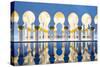 United Arab Emirates, Abu Dhabi. the Water Pools of Sheikh Zayed Grand Mosque-Nick Ledger-Stretched Canvas