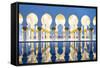 United Arab Emirates, Abu Dhabi. the Water Pools of Sheikh Zayed Grand Mosque-Nick Ledger-Framed Stretched Canvas
