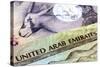 United Arab Emirates Dirham Banknotes in Closeup-Robyn Mackenzie-Stretched Canvas