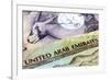 United Arab Emirates Dirham Banknotes in Closeup-Robyn Mackenzie-Framed Photographic Print