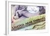 United Arab Emirates Dirham Banknotes in Closeup-Robyn Mackenzie-Framed Photographic Print