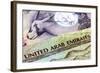 United Arab Emirates Dirham Banknotes in Closeup-Robyn Mackenzie-Framed Photographic Print