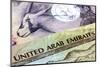 United Arab Emirates Dirham Banknotes in Closeup-Robyn Mackenzie-Mounted Photographic Print