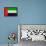 United Arab Emirates Flag Design with Wood Patterning - Flags of the World Series-Philippe Hugonnard-Framed Stretched Canvas displayed on a wall