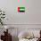 United Arab Emirates Flag Design with Wood Patterning - Flags of the World Series-Philippe Hugonnard-Stretched Canvas displayed on a wall