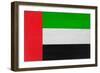 United Arab Emirates Flag Design with Wood Patterning - Flags of the World Series-Philippe Hugonnard-Framed Premium Giclee Print