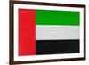 United Arab Emirates Flag Design with Wood Patterning - Flags of the World Series-Philippe Hugonnard-Framed Art Print