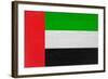 United Arab Emirates Flag Design with Wood Patterning - Flags of the World Series-Philippe Hugonnard-Framed Art Print