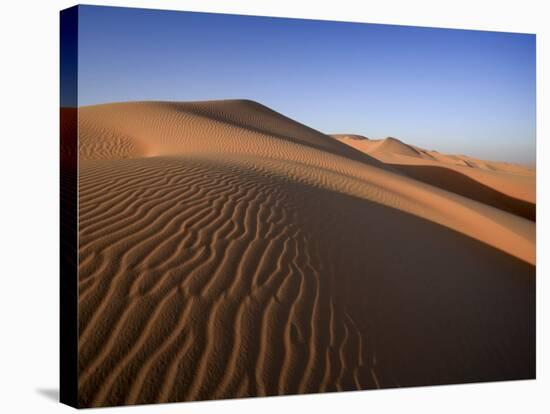 United Arab Emirates, Liwa Oasis, Sand Dunes Near the Empty Quarter Desert-Michele Falzone-Stretched Canvas