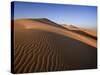 United Arab Emirates, Liwa Oasis, Sand Dunes Near the Empty Quarter Desert-Michele Falzone-Stretched Canvas