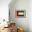 United Arab Emirates-David Bowman-Framed Giclee Print displayed on a wall