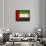 United Arab Emirates-David Bowman-Giclee Print displayed on a wall