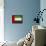 United Arab Emirates-David Bowman-Stretched Canvas displayed on a wall