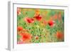 United Colors of Summer-Roeselien Raimond-Framed Photographic Print