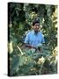 United Farm Workers Leader Cesar Chavez Standing in a Vineyard During the Grape Pickers' Strike-Arthur Schatz-Stretched Canvas