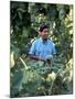 United Farm Workers Leader Cesar Chavez Standing in a Vineyard During the Grape Pickers' Strike-Arthur Schatz-Mounted Premium Photographic Print