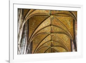 United Kingdom, England, Cheshire, Chester, Chester Cathedral ceiling-Jane Sweeney-Framed Photographic Print