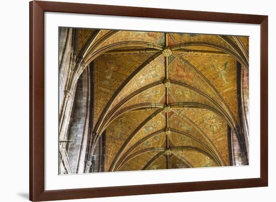 United Kingdom, England, Cheshire, Chester, Chester Cathedral ceiling-Jane Sweeney-Framed Photographic Print