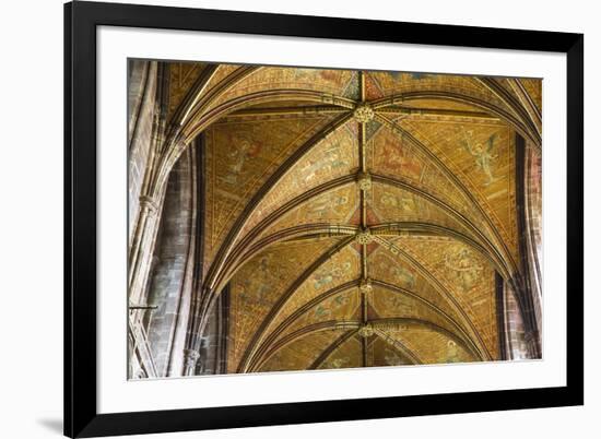 United Kingdom, England, Cheshire, Chester, Chester Cathedral ceiling-Jane Sweeney-Framed Photographic Print