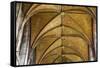 United Kingdom, England, Cheshire, Chester, Chester Cathedral ceiling-Jane Sweeney-Framed Stretched Canvas