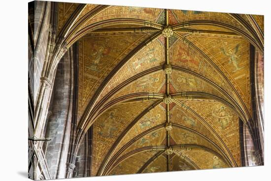 United Kingdom, England, Cheshire, Chester, Chester Cathedral ceiling-Jane Sweeney-Stretched Canvas