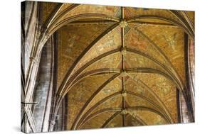 United Kingdom, England, Cheshire, Chester, Chester Cathedral ceiling-Jane Sweeney-Stretched Canvas