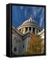 United Kingdom, England, London. St. Paul's Cathedral-Pamela Amedzro-Framed Stretched Canvas