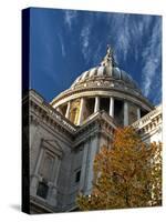 United Kingdom, England, London. St. Paul's Cathedral-Pamela Amedzro-Stretched Canvas