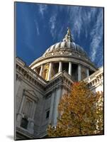 United Kingdom, England, London. St. Paul's Cathedral-Pamela Amedzro-Mounted Photographic Print