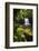 United Kingdom, England, North Yorkshire, Goathland. Thomason Foss Lies on the Route-Nick Ledger-Framed Photographic Print