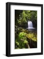 United Kingdom, England, North Yorkshire, Goathland. Thomason Foss Lies on the Route-Nick Ledger-Framed Photographic Print