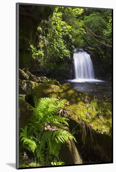 United Kingdom, England, North Yorkshire, Goathland. Thomason Foss Lies on the Route-Nick Ledger-Mounted Photographic Print