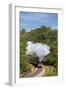 United Kingdom, England, North Yorkshire, Goathland-Nick Ledger-Framed Photographic Print