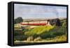 United Kingdom, England, North Yorkshire, Goathland-Nick Ledger-Framed Stretched Canvas
