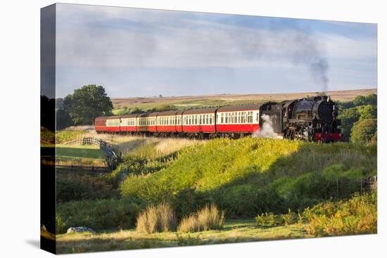 United Kingdom, England, North Yorkshire, Goathland-Nick Ledger-Stretched Canvas