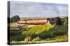 United Kingdom, England, North Yorkshire, Goathland-Nick Ledger-Stretched Canvas